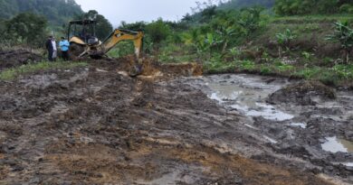 Propriedade do produtor rural Altino Valentini, 67 anos.