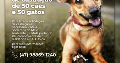 Haverá vagas para 50 cachorros e 50 gatos